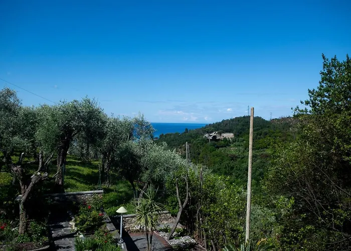 164- Della Marchesa - Giardino E Piscina A Pochi Minuti Dal Centro Di Sestri Levante Feriehus *